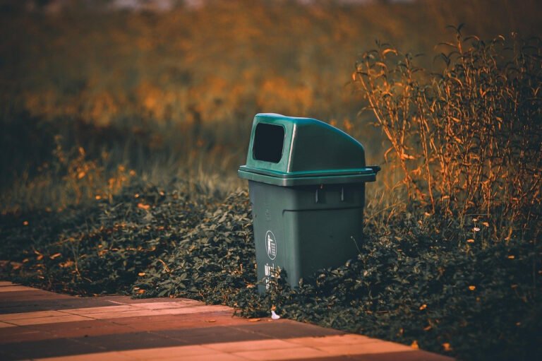 How AI Can Automate Tasks