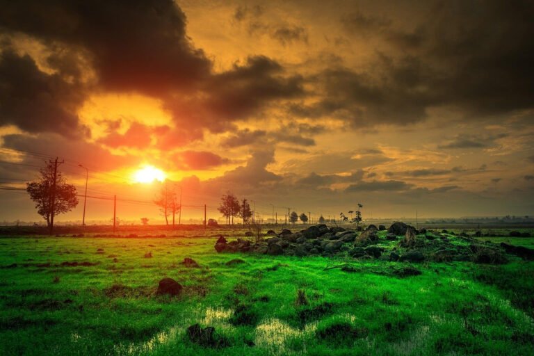 Boost Workflow with AI Tools