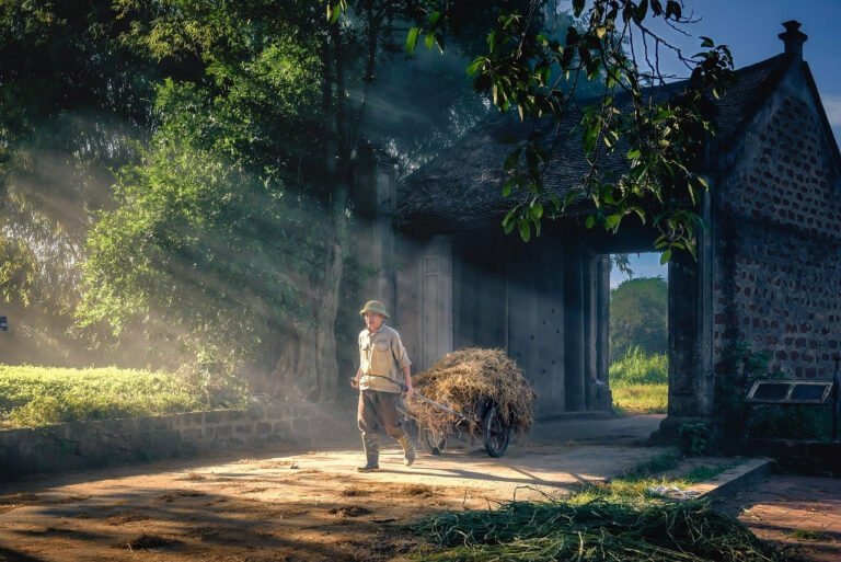 Build Routines Using AI
Daily Productivity & Planning:
daily planning workspace laptop